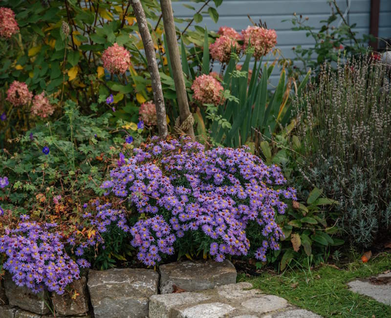 Gestaltete Natursteintreppe mit abgestimmter Bepflanzung im Garten