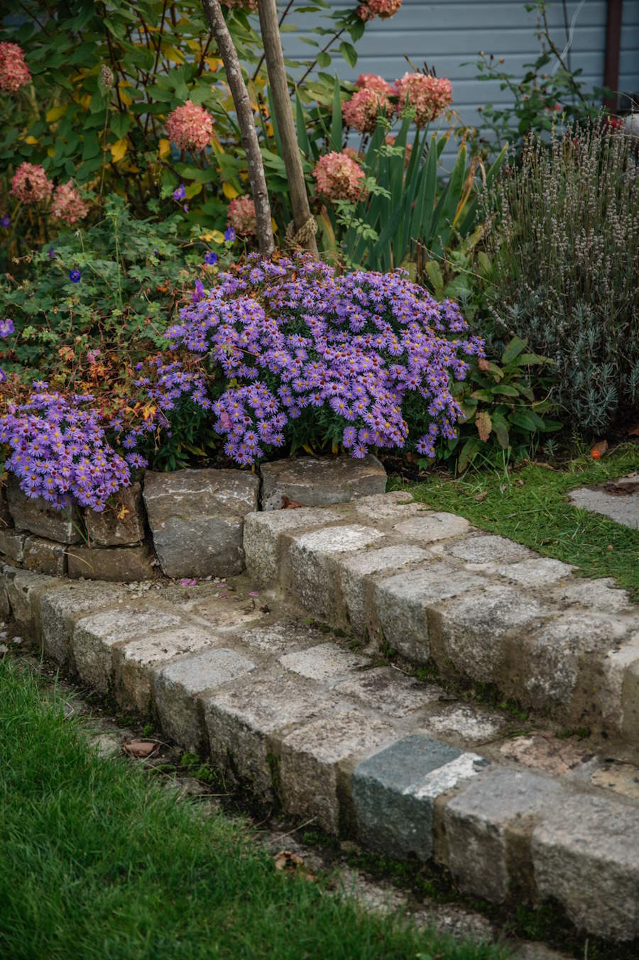 Gestaltete Natursteintreppe mit abgestimmter Bepflanzung im Garten