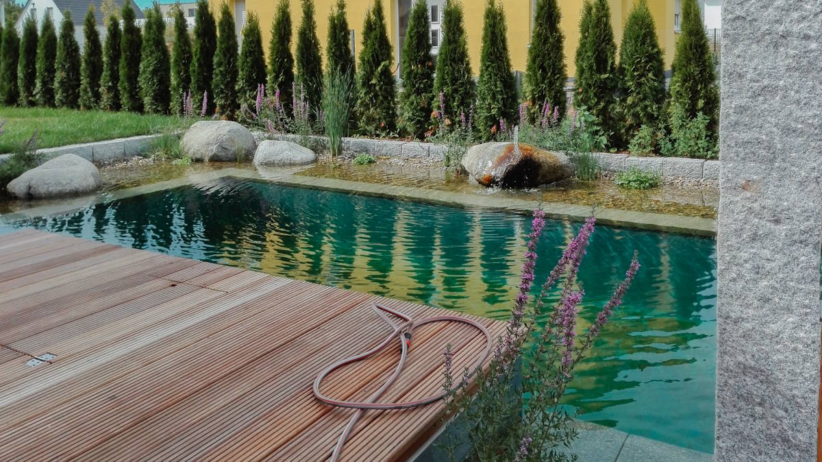Moderner Garten mit Pool, Holzdeck und Sichtschutzbepflanzung