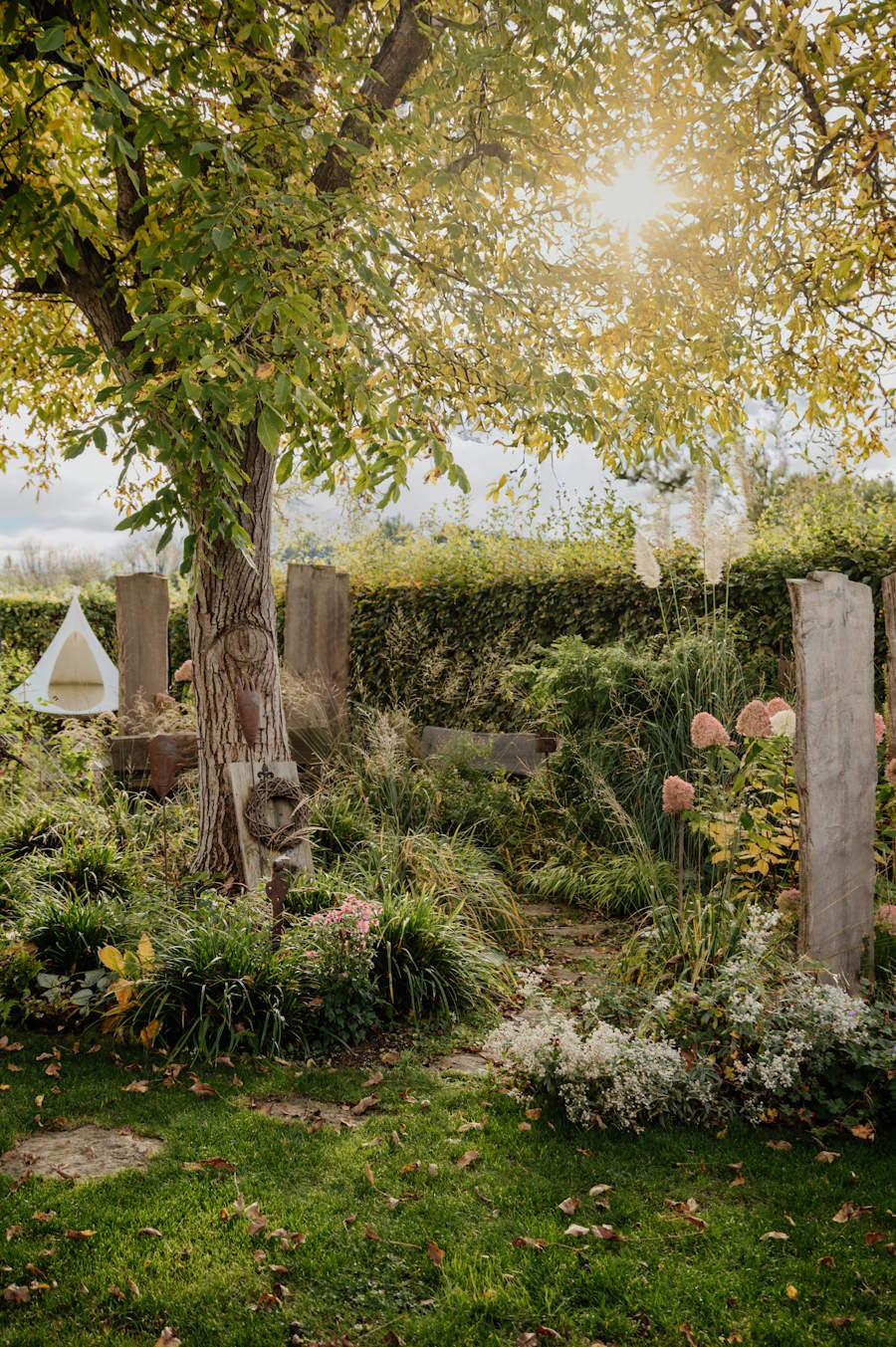 Gartenbereich mit Baum, gewachsener Struktur und natürlicher Bepflanzung